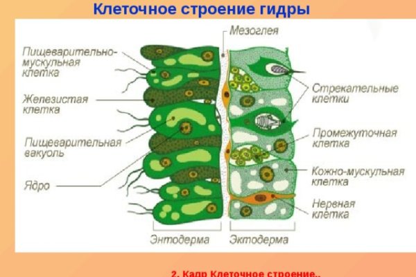 Вход в кракен