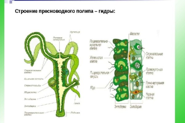 Как зайти на гидру через тор браузер