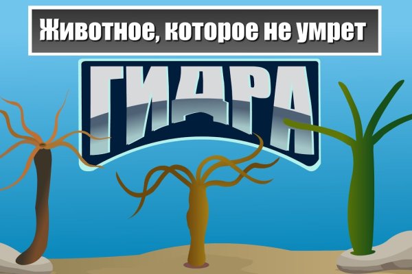 Kraken 19 at сайт